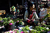 Inle Lake Myanmar. The market of the village of Nampan on the eastern lakeshore. 